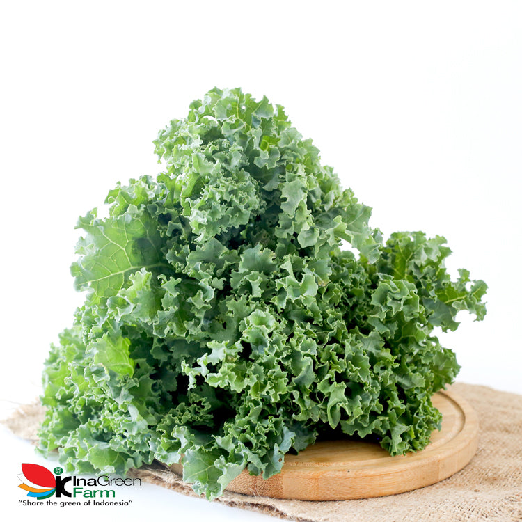 Inagreen Farm Bandung Sayur Kale Organik 250 Gram