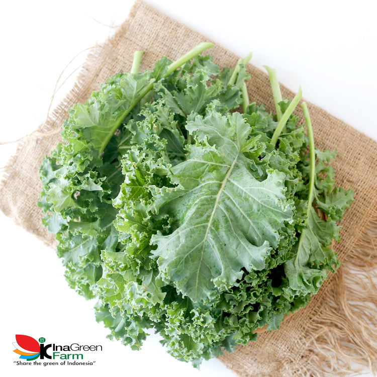 Inagreen Farm Bandung Sayur Kale Organik 250 Gram