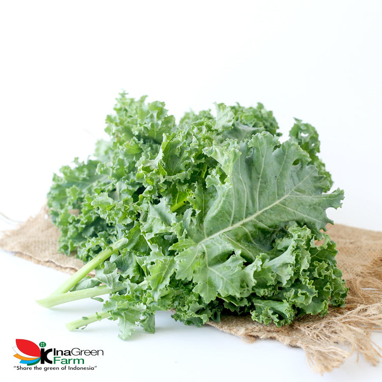 Inagreen Farm Bandung Sayur Kale Organik 250 Gram
