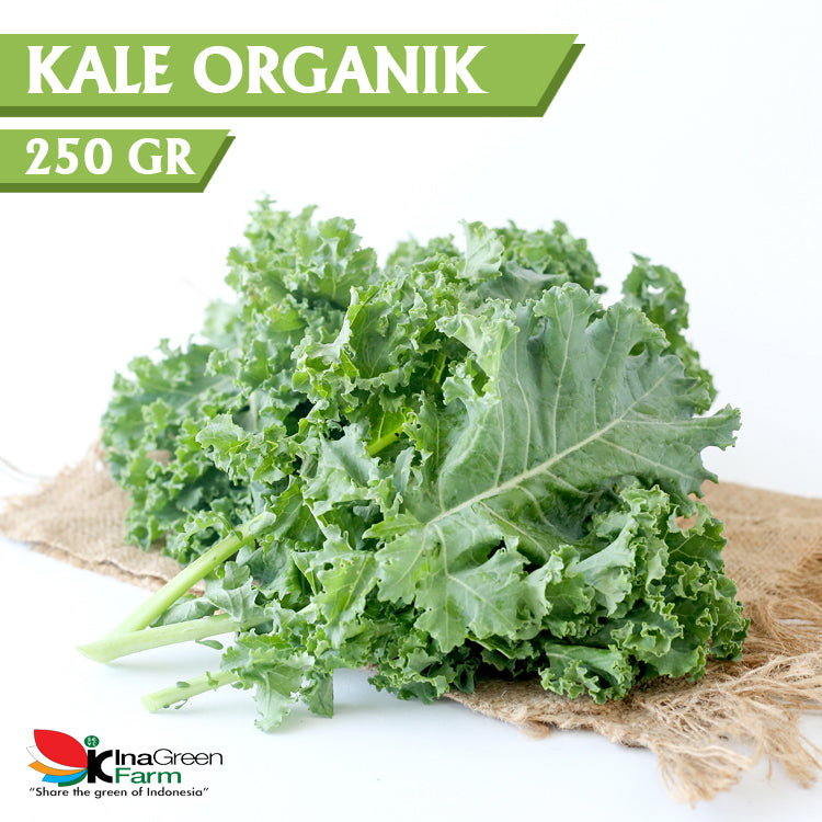 Inagreen Farm Bandung Sayur Kale Organik 250 Gram