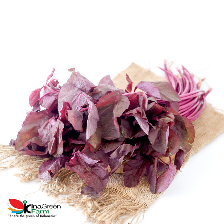 Inagreen Farm Bandung Sayur Bayam Merah Organik 250 Gram