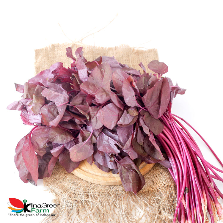 Inagreen Farm Bandung Sayur Bayam Merah Organik 250 Gram