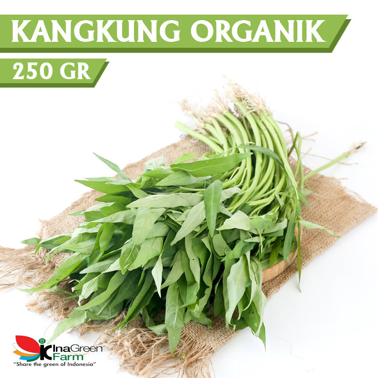 Inagreen Farm Bandung Sayur Kangkung Darat Organik 250 Gram
