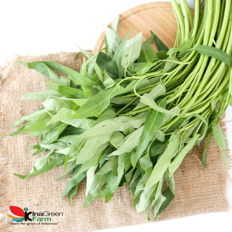 Inagreen Farm Bandung Sayur Kangkung Darat Organik 250 Gram