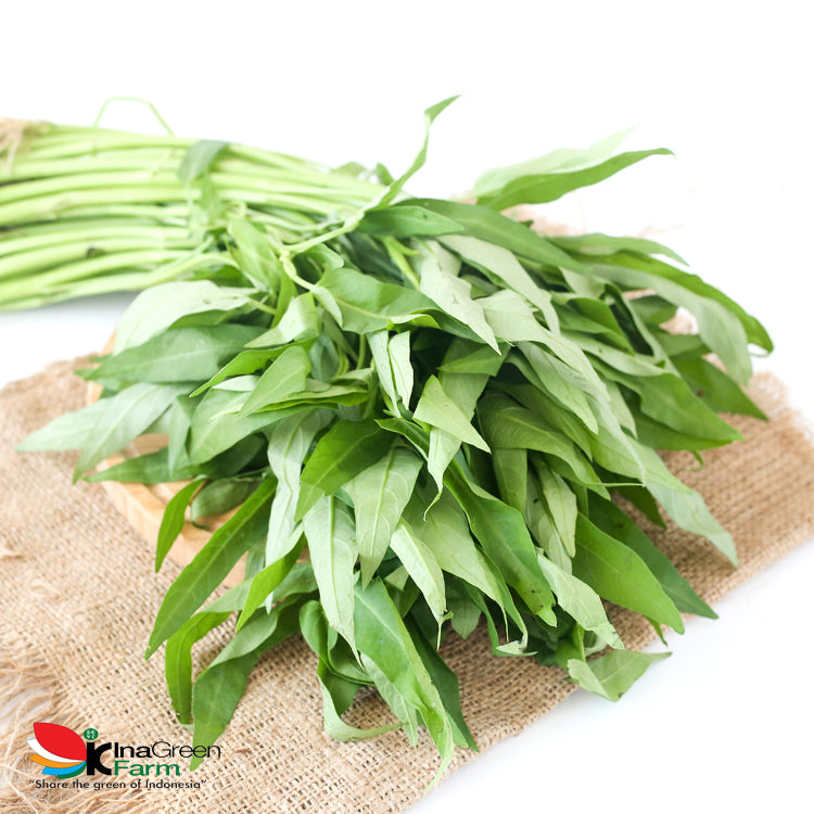 Inagreen Farm Bandung Sayur Kangkung Darat Organik 250 Gram