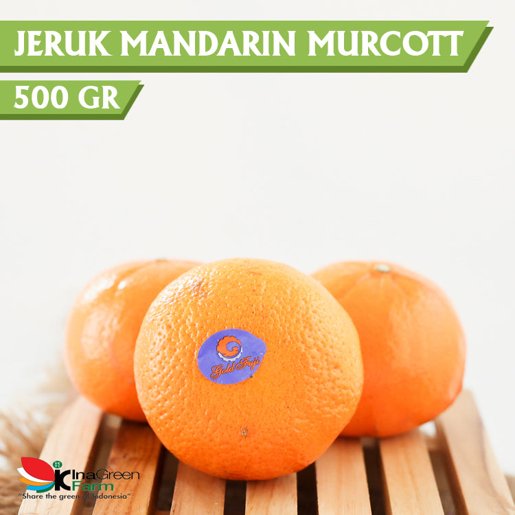 Inagreen Farm Bandung Jeruk Mandarin Murcott