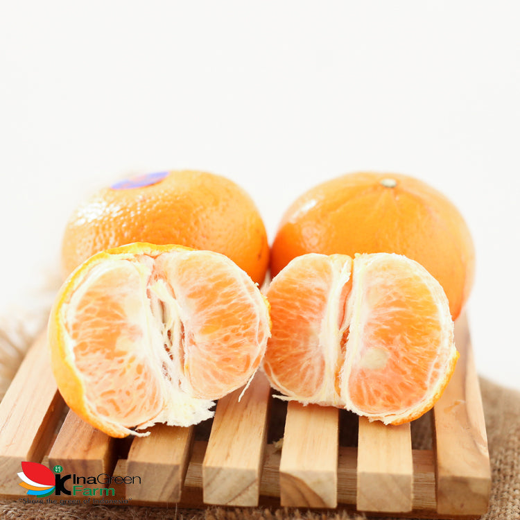 Inagreen Farm Bandung Jeruk Mandarin Murcott