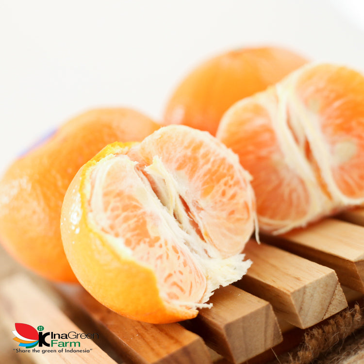 Inagreen Farm Bandung Jeruk Mandarin Murcott