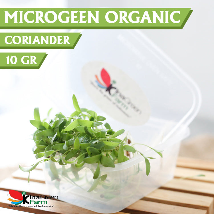 Microgreen Organik Coriander Inagreen Farm Bandung