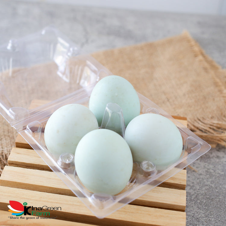 Telur Bebek Fresh Inagreen Farm Bandung