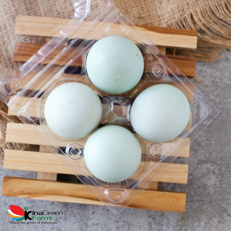 Telur Bebek Fresh Inagreen Farm Bandung