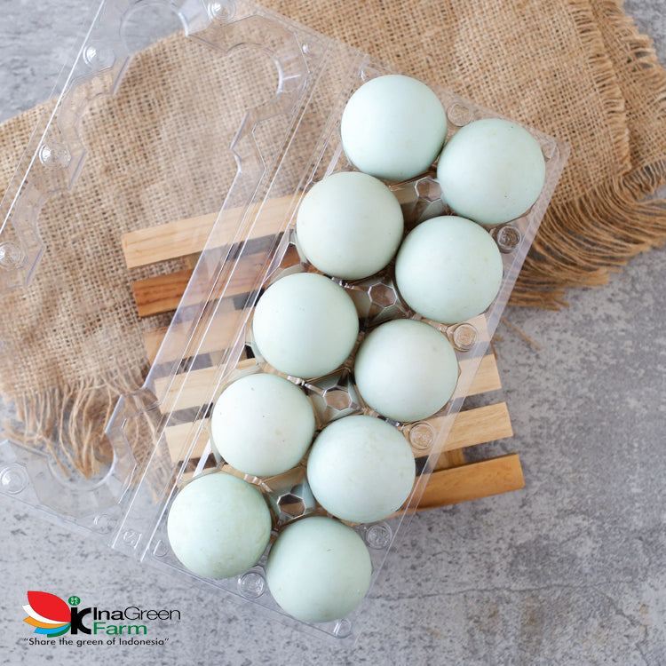 Telur Bebek Fresh Inagreen Farm Bandung