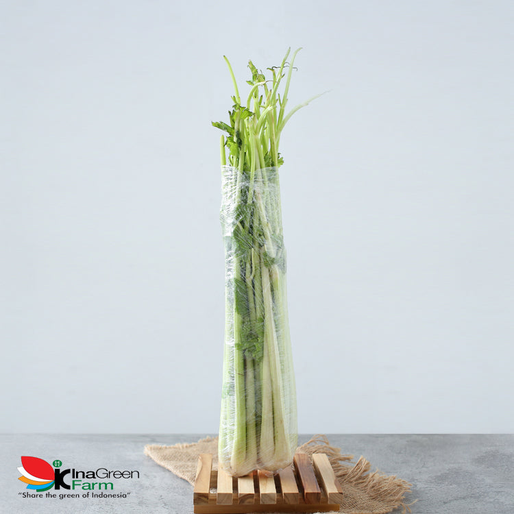 Inagreen Farm Bandung Seledri Batang Besar / Celery Stick