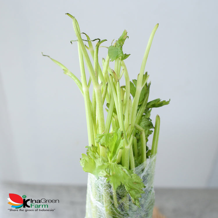 Inagreen Farm Bandung Seledri Batang Besar / Celery Stick