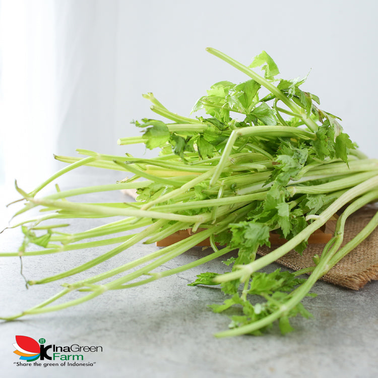 Inagreen Farm Bandung Seledri Batang Besar / Celery Stick