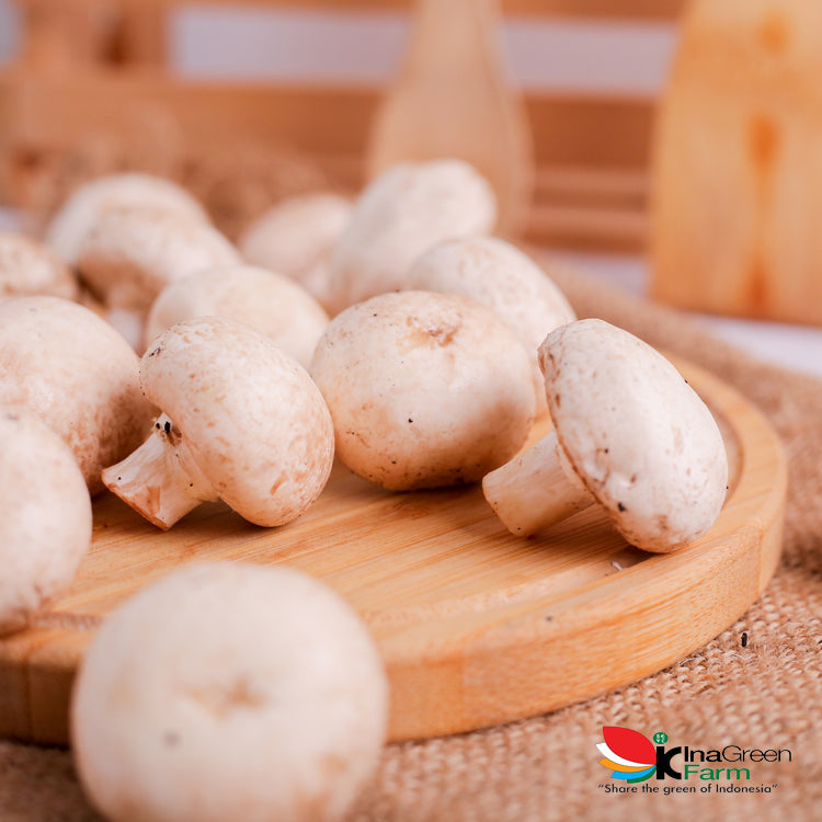 Inagreen Farm Bandung Jamur Kancing / Champignon