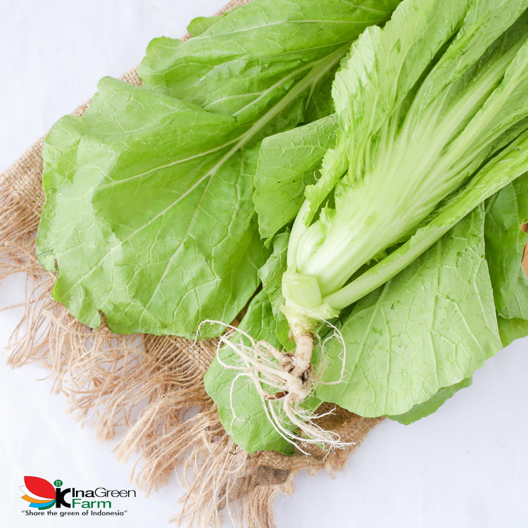 Inagreen Farm Bandung Sayur Jabung / Sawi Pahit