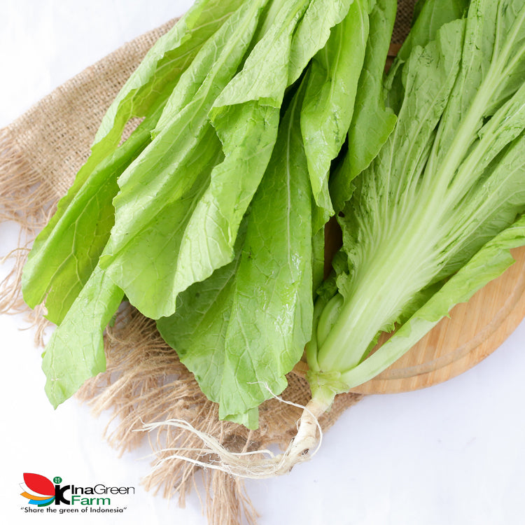 Inagreen Farm Bandung Sayur Jabung / Sawi Pahit