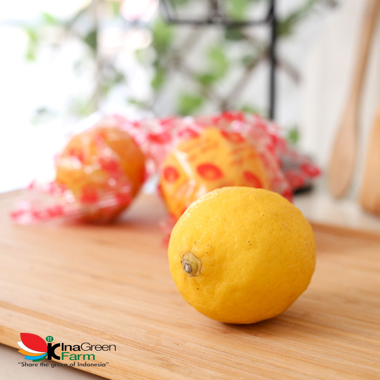 Inagreen Farm Bandung Buah Lemon