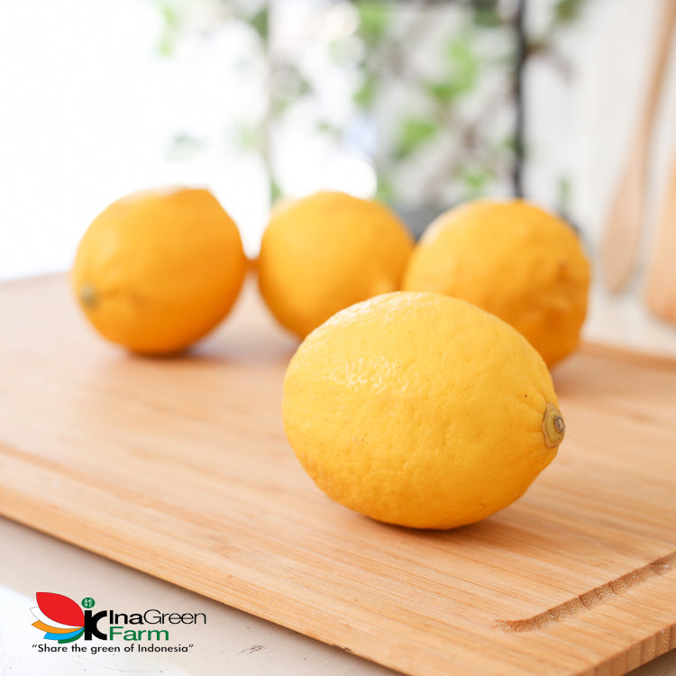 Inagreen Farm Bandung Buah Lemon