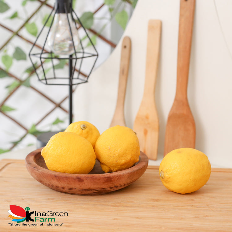 Inagreen Farm Bandung Buah Lemon