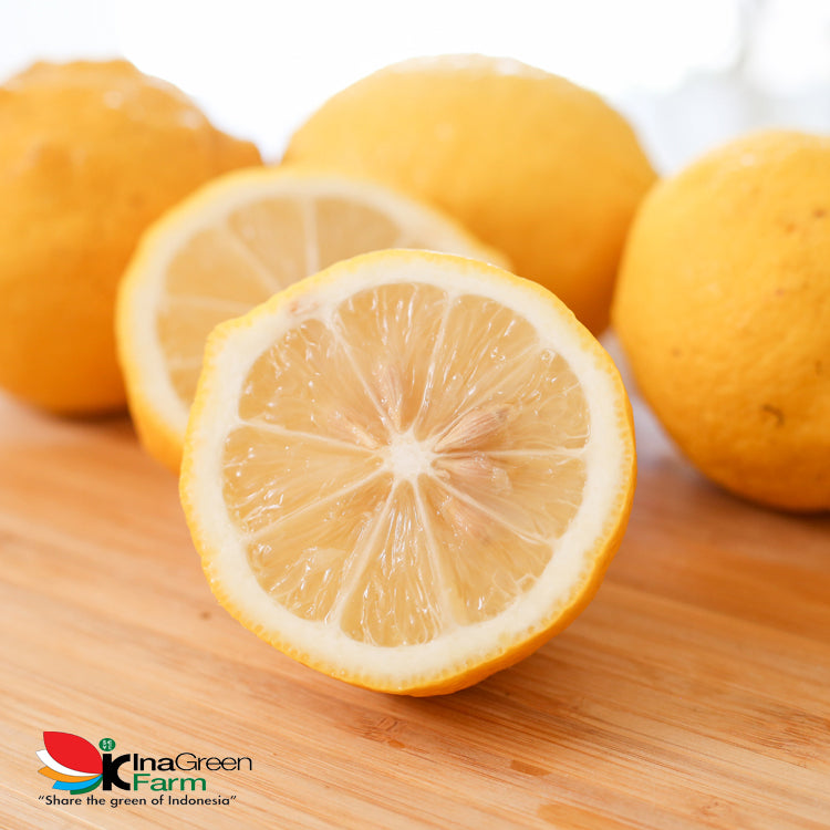 Inagreen Farm Bandung Buah Lemon