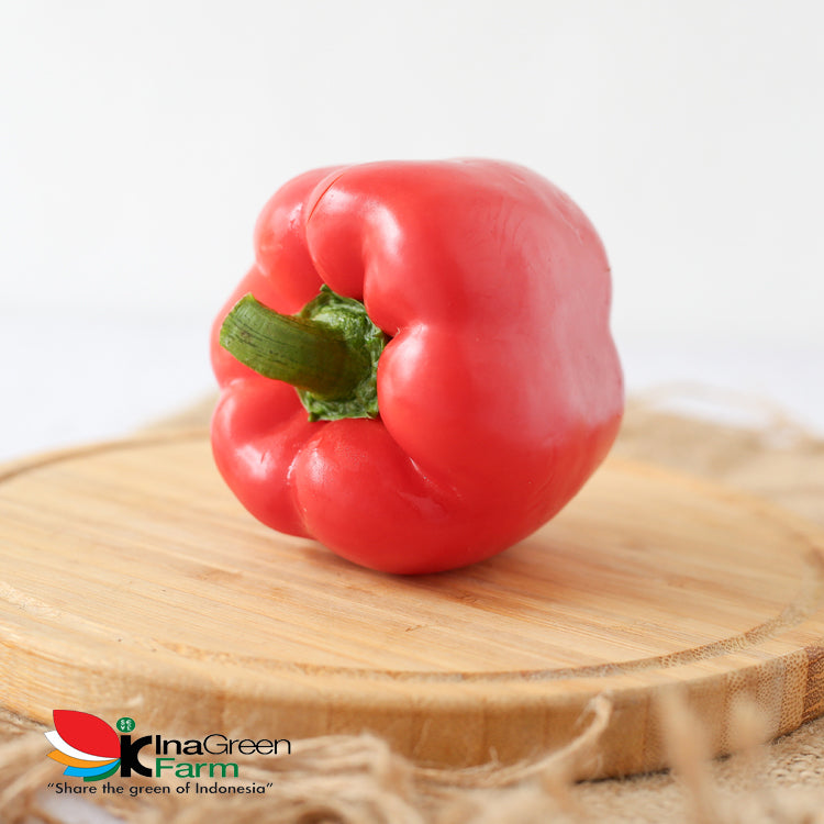 Inagreen Farm Bandung Sayur Paprika Merah