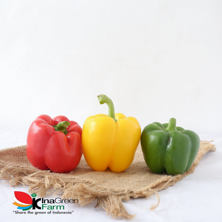 Inagreen Farm Bandung Sayur Paprika Hijau