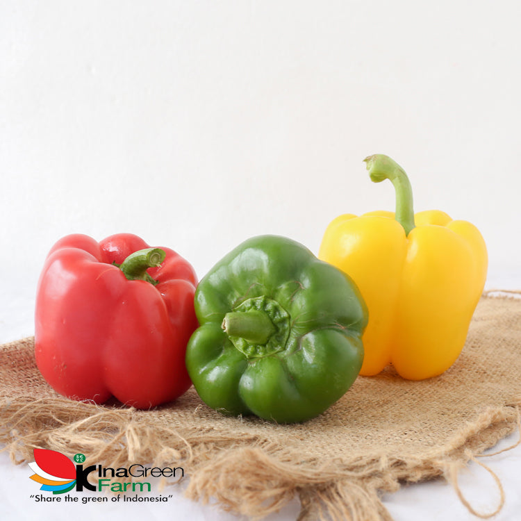 Inagreen Farm Bandung Sayur Paprika Hijau