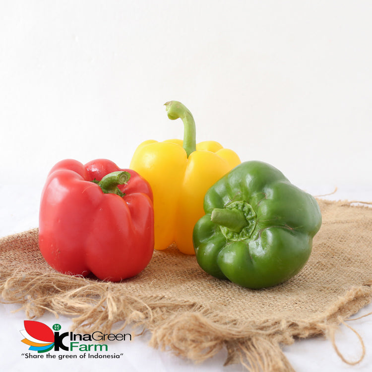 Inagreen Farm Bandung Sayur Paprika Kuning