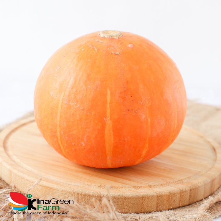 Inagreen Farm Bandung Labu Kabocha Jepang