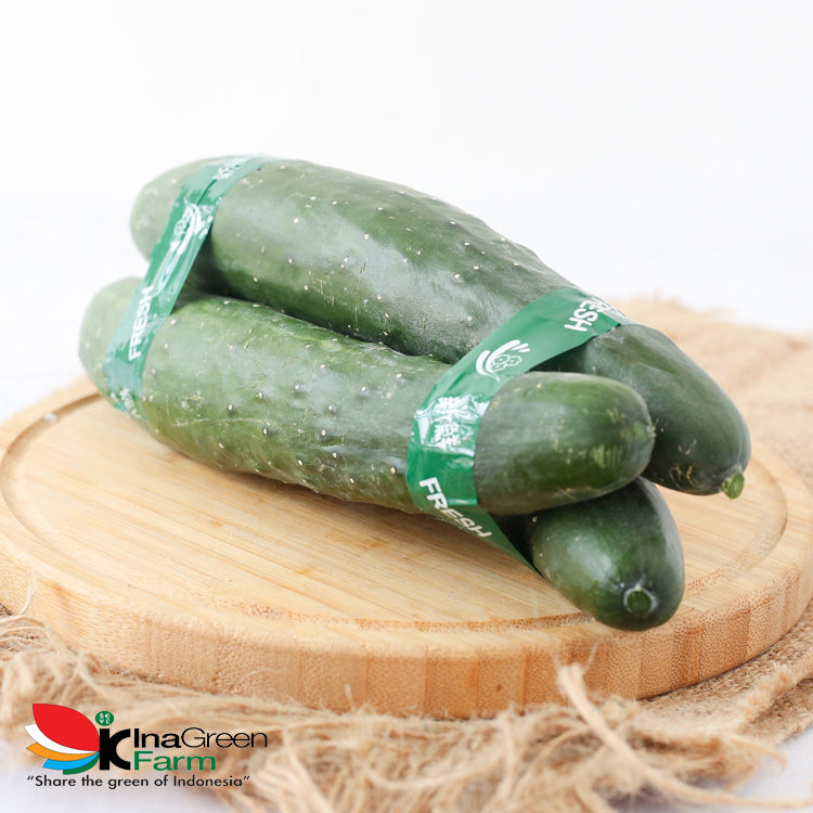 Inagreen Farm Bandung Timun Jepang / Kyuri 1 Pack (isi 2 buah)