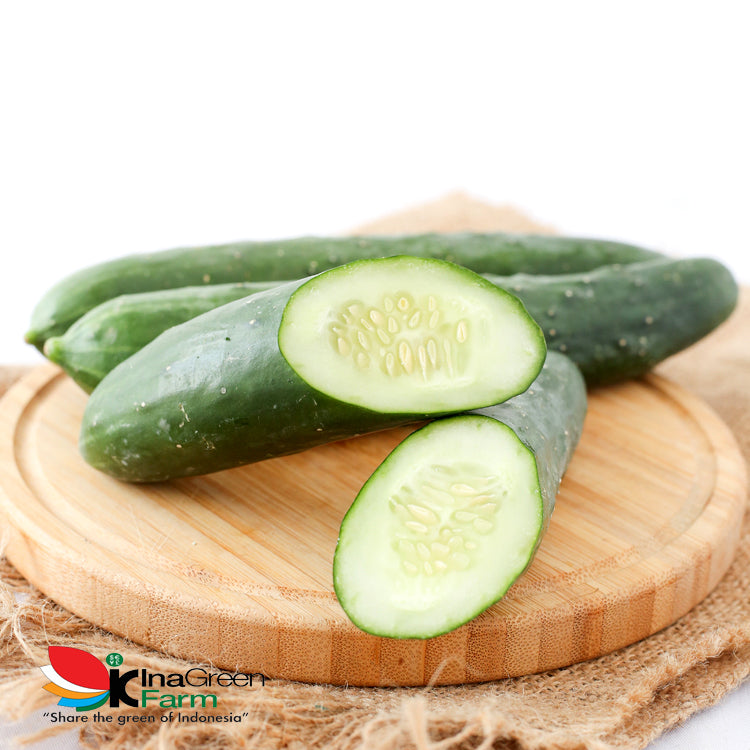 Inagreen Farm Bandung Timun Jepang / Kyuri 1 Pack (isi 2 buah)