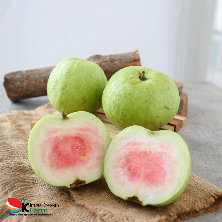 Jambu Kristal Red Diamond Premium Inagreen