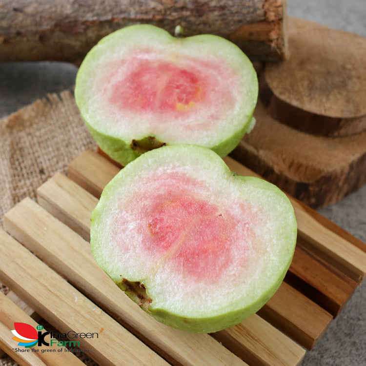 Jambu Kristal Red Diamond Premium Inagreen