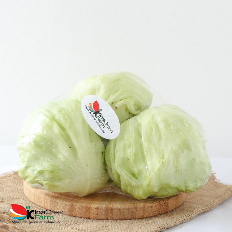 Inagreen Farm Bandung Lettuce Head Fresh