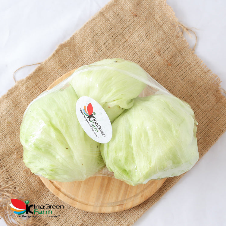 Inagreen Farm Bandung Lettuce Head Fresh