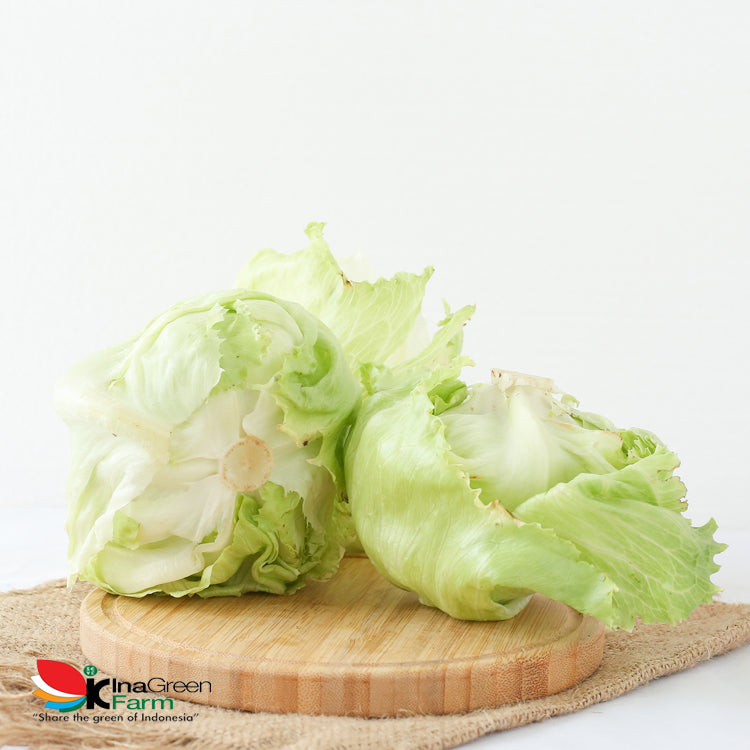 Inagreen Farm Bandung Lettuce Head Fresh