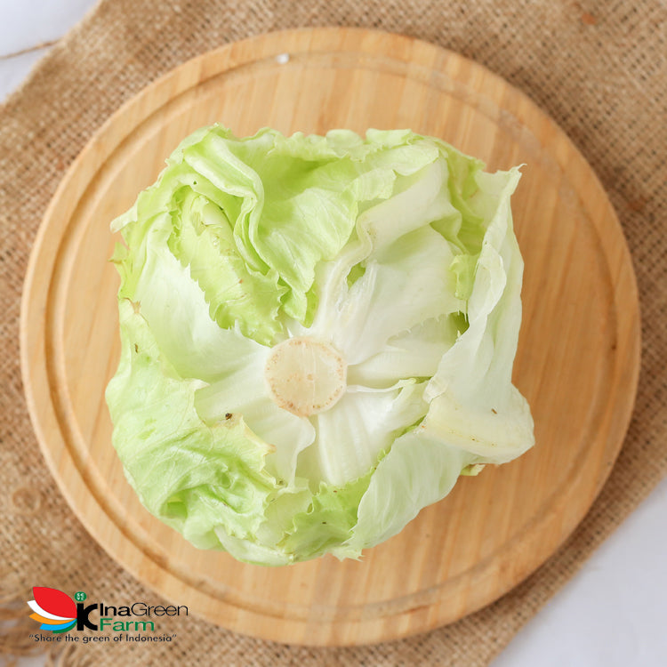 Inagreen Farm Bandung Lettuce Head Fresh