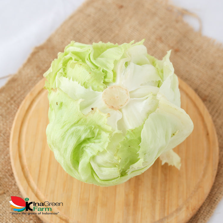 Inagreen Farm Bandung Lettuce Head Fresh