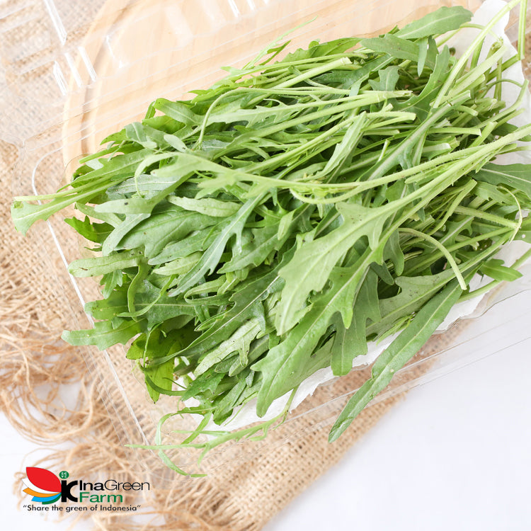 Inagreen Farm Bandung Arugula Wild Rocket Fresh 100 Gram