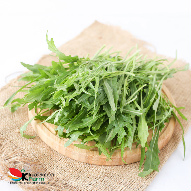 Inagreen Farm Bandung Arugula Wild Rocket Fresh 100 Gram