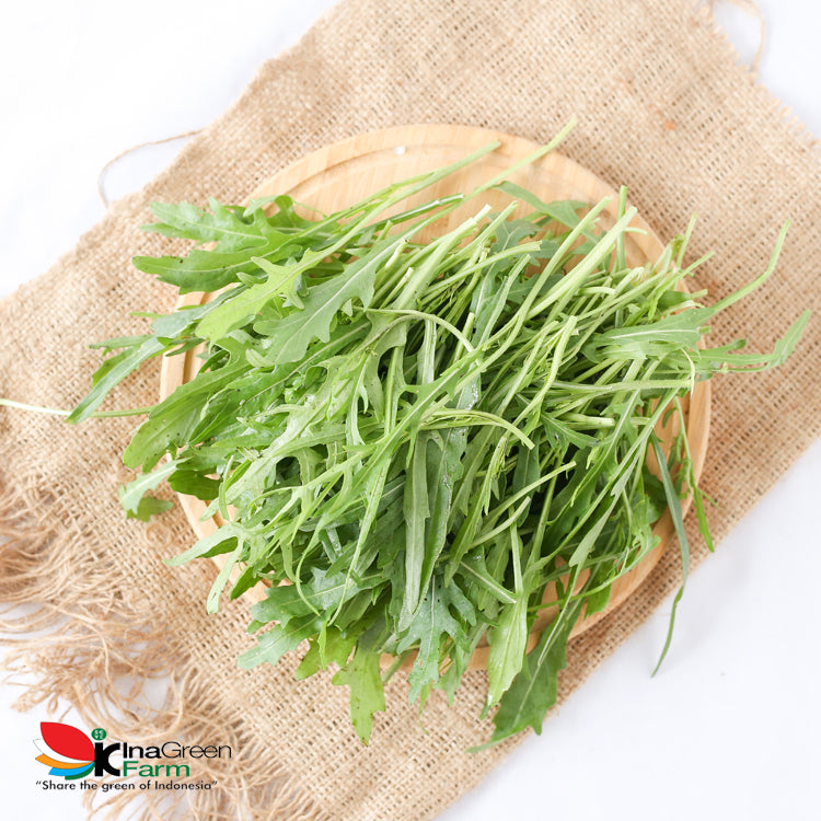 Inagreen Farm Bandung Arugula Wild Rocket Fresh 100 Gram