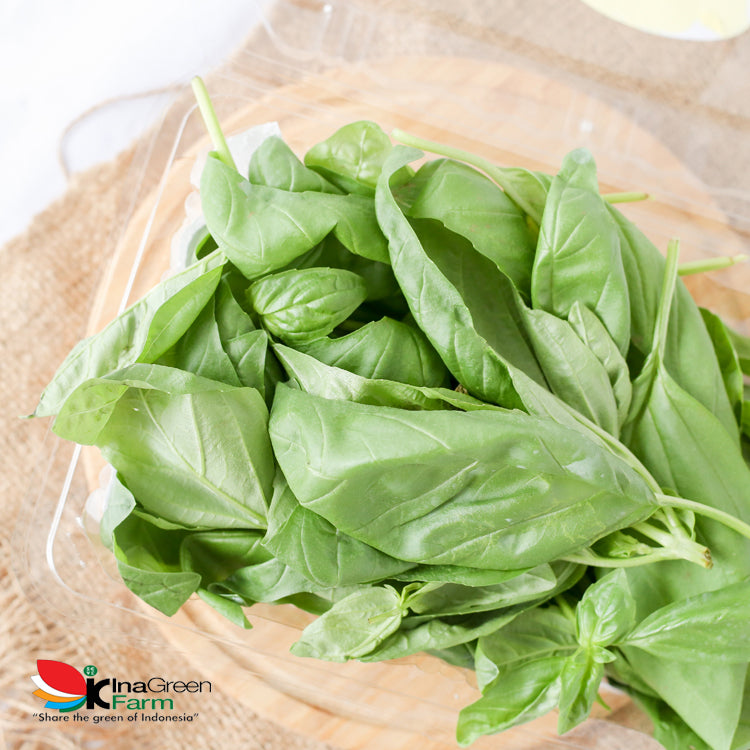 Inagreen Farm Bandung Basil Doli Fresh 50 Gram