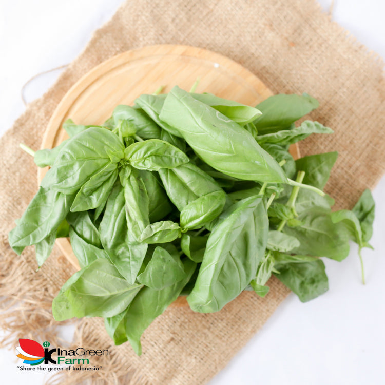 Inagreen Farm Bandung Basil Doli Fresh 50 Gram