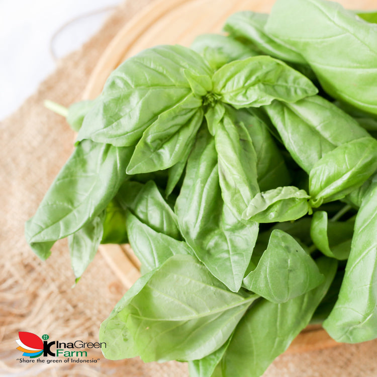 Inagreen Farm Bandung Basil Doli Fresh 50 Gram