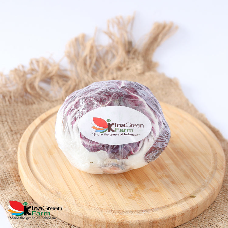 Inagreen Farm Bandung Radicchio