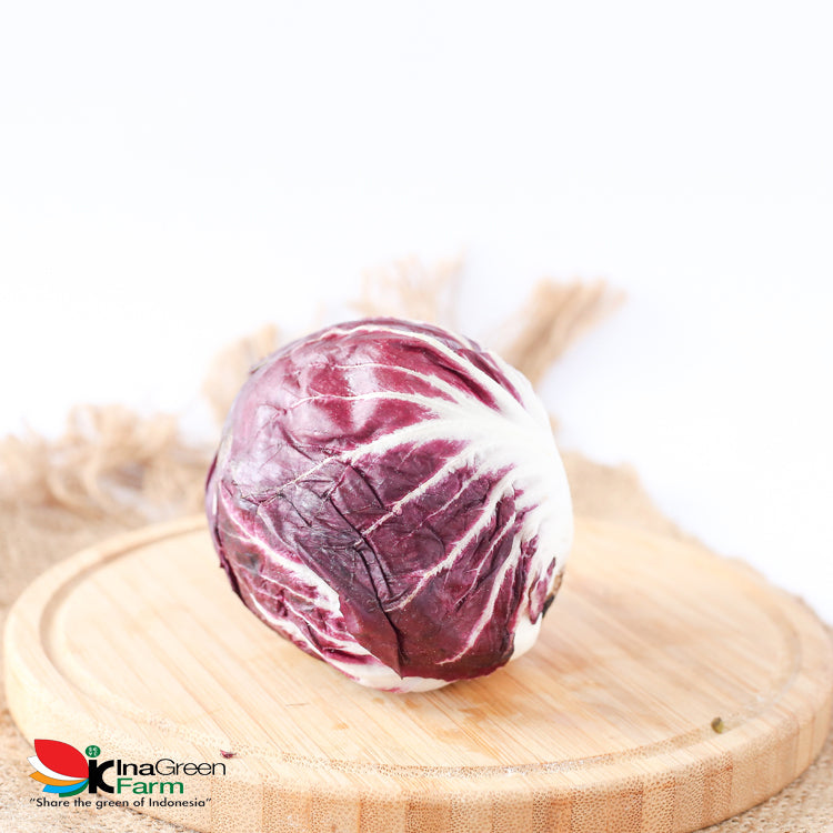 Inagreen Farm Bandung Radicchio