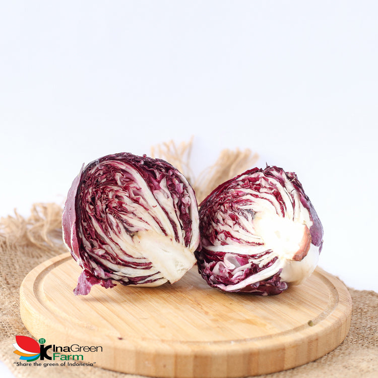 Inagreen Farm Bandung Radicchio