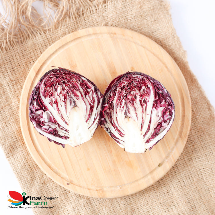 Inagreen Farm Bandung Radicchio